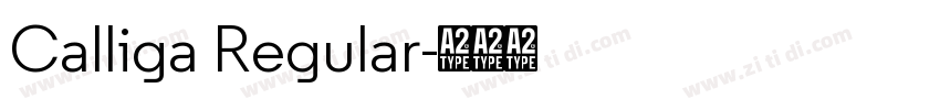 Calliga Regular字体转换